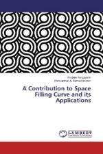 A Contribution to Space Filling Curve and its Applications