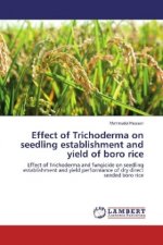 Effect of Trichoderma on seedling establishment and yield of boro rice