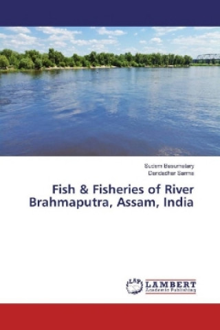 Fish & Fisheries of River Brahmaputra, Assam, India