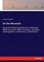 On the Mountain