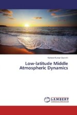 Low-latitude Middle Atmospheric Dynamics