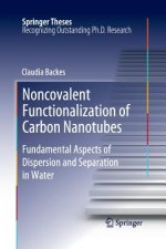 Noncovalent Functionalization of Carbon Nanotubes