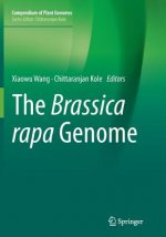 Brassica rapa Genome