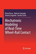 Mechatronic Modeling of Real-Time Wheel-Rail Contact
