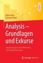Analysis - Grundlagen Und Exkurse