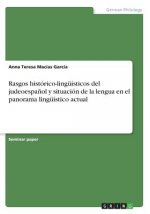 Rasgos historico-linguisticos del judeoespanol y situacion de la lengua en el panorama linguistico actual