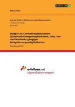 Budget als Controllinginstrument. Systematisierungsmöglichkeiten, Ziele, Vor- und Nachteile gängiger Budgetierungsmöglichkeiten