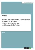 Peer-Groups der heutigen Jugendkultur im Lebensraum Deutschland. Sozialpsychologische und sozialpädagogische Ansätze