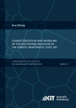 Characterization and Modeling of the Ratcheting Behavior of the Ferritic-Martensitic Steel P91