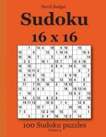 Sudoku 16 x 16: 100 Sudoku puzzles Volume 3