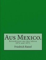 Aus Mexico.: Reiseskizzen aus den Jahren 1874 und 1875.