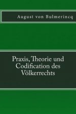 Praxis, Theorie und Codification des Völkerrechts