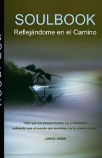 Soulbook: Reflejándome en el Camino