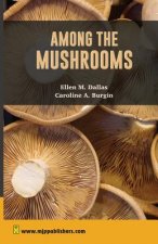 Among The Mushrooms: A Guide for Beginners
