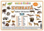 Súbor 24 kariet  - zvieratá (voľne žijúce)