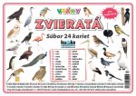 Súbor 24 kariet - zvieratá (vtáky)