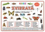 Súbor 24 kariet - zvieratá (hmyz)