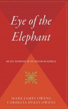 The Eye of the Elephant