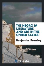 Negro in Literature and Art in the United States