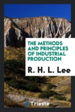 Methods and Principles of Industrial Production