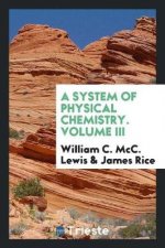 System of Physical Chemistry. Volume III