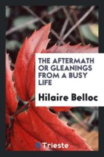 Aftermath or Gleanings from a Busy Life