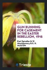 Gun Running for Casement in the Easter Rebellion, 1916