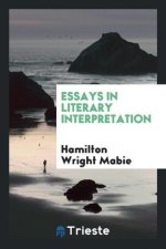 Essays in Literary Interpretation