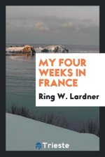 My Four Weeks in France