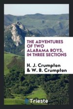 Adventures of Two Alabama Boys, in Three Sections