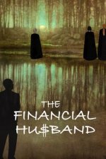 The Financial Husband