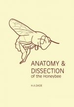 Anatomy & Dissection of the Honeybee