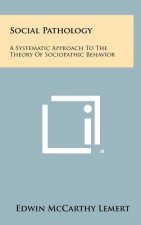 Social Pathology: A Systematic Approach To The Theory Of Sociopathic Behavior
