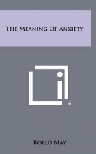 The Meaning Of Anxiety