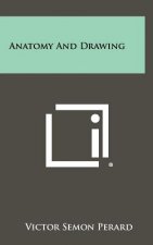 Anatomy And Drawing