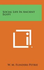Social Life in Ancient Egypt