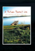 Picture Perfect Life