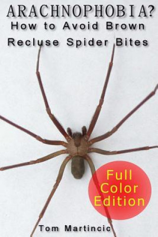 Arachnophobia? How to Avoid Brown Recluse Spider Bites