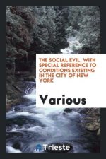 Social Evil, with Special Reference to Conditions Existing in the City of New York