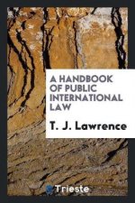 Handbook of Public International Law