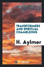 Transformers and Spiritual Chameleons