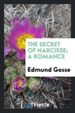 Secret of Narcisse; A Romance