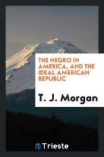 Negro in America, and the Ideal American Republic