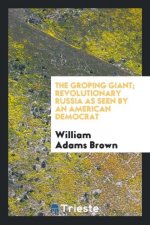 Groping Giant; Revolutionary Russia as Seen by an American Democrat