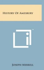 History of Amesbury