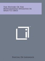 The History of the Mohammedan Dynasties in Spain V2 (1843)