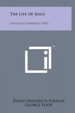 The Life of Jesus: Critically Examined (1902)