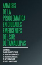 Analisis de la problematica en ciudades emergentes del sur de Tamaulipas