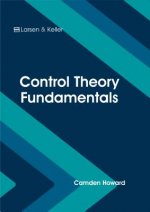 Control Theory Fundamentals