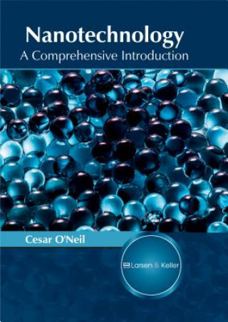 Nanotechnology: A Comprehensive Introduction